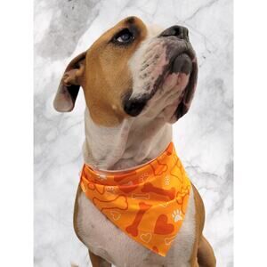 Orange Pet Bandana Bone, Hearts, Paw Print